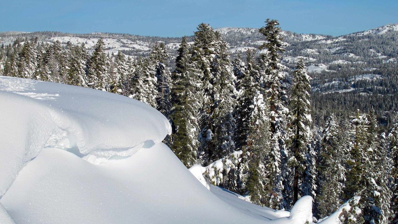 Photo of Others in Alpine Meadows