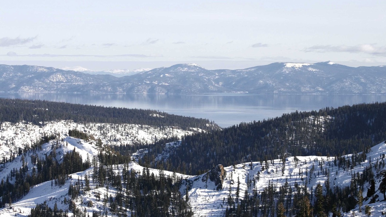 Photo of Others in Alpine Meadows