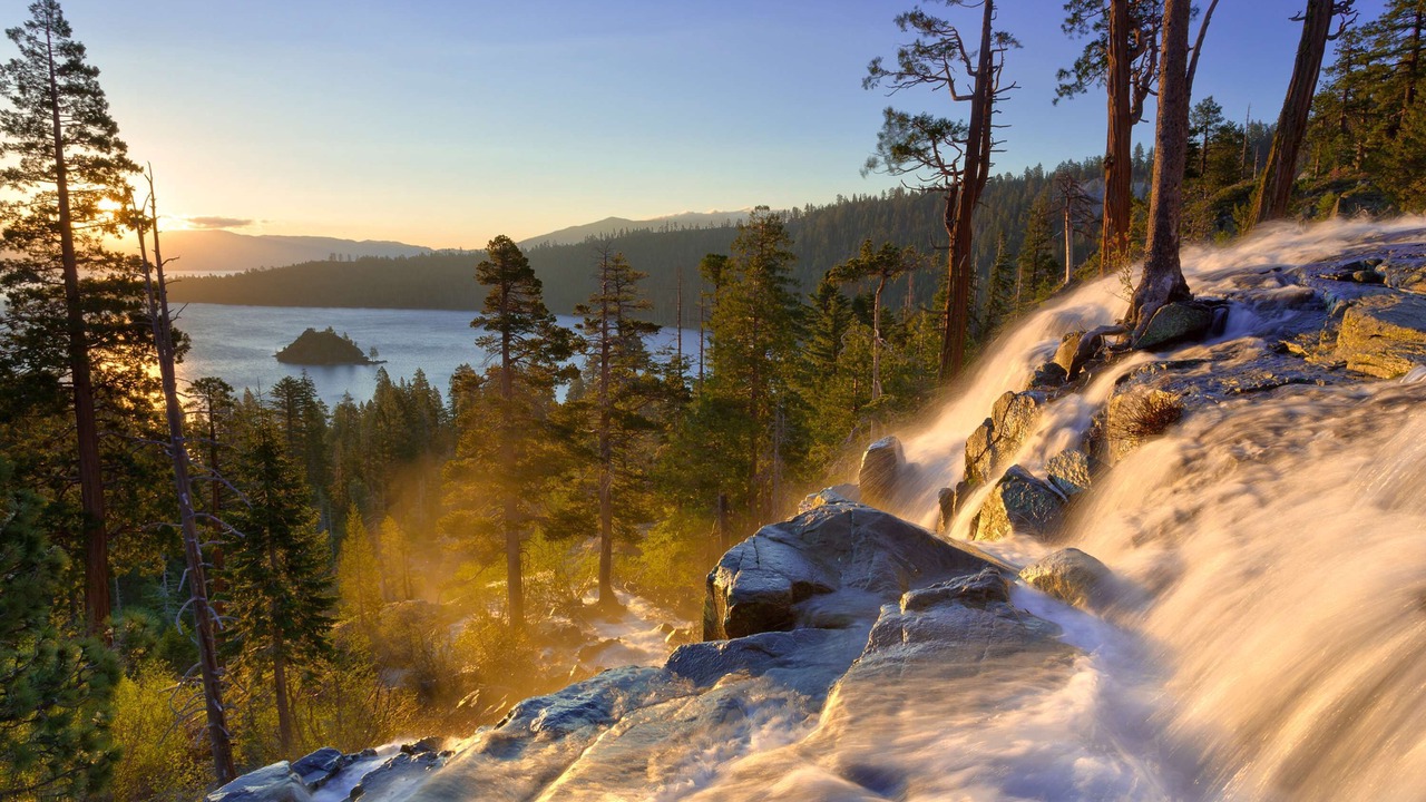 Photo of Others in Alpine Meadows