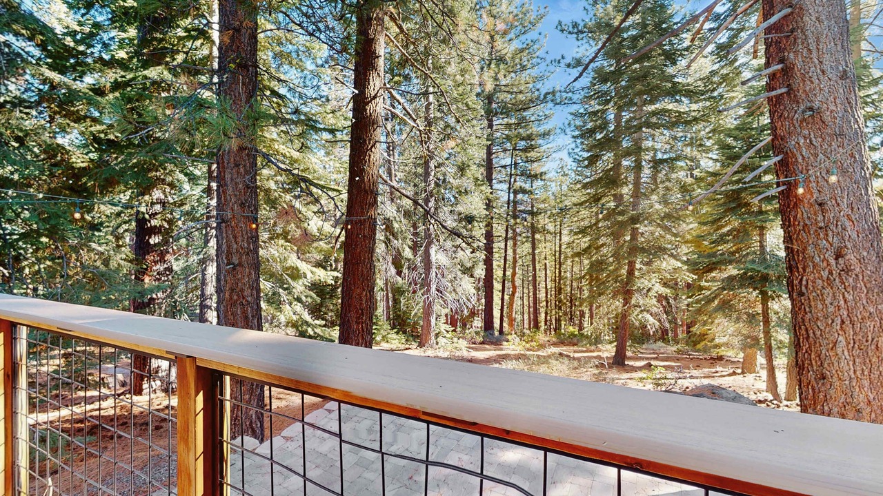 Photo of Outdoor in Country Club Estates