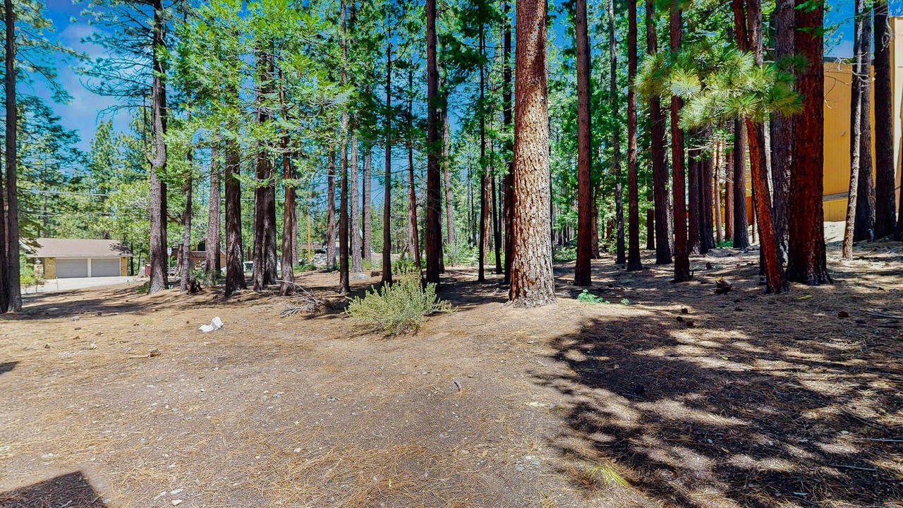 Photo of Outdoor in South Lake Tahoe