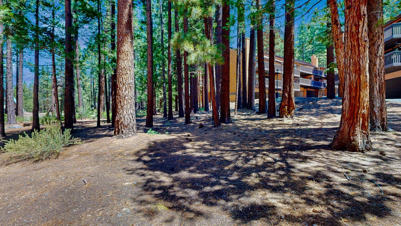Photo of Outdoor in South Lake Tahoe