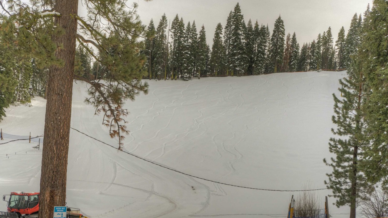 Photo of Others in Tahoe Woods