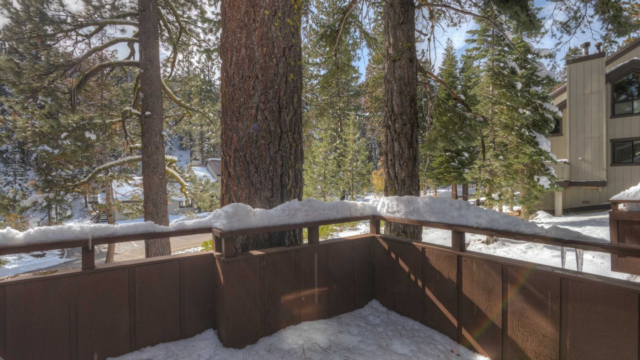 Photo of Outdoor in Tahoe Woods