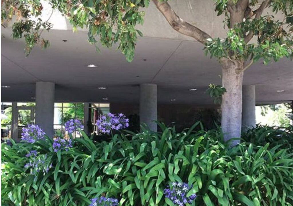 Photo of Outdoor in Cupertino