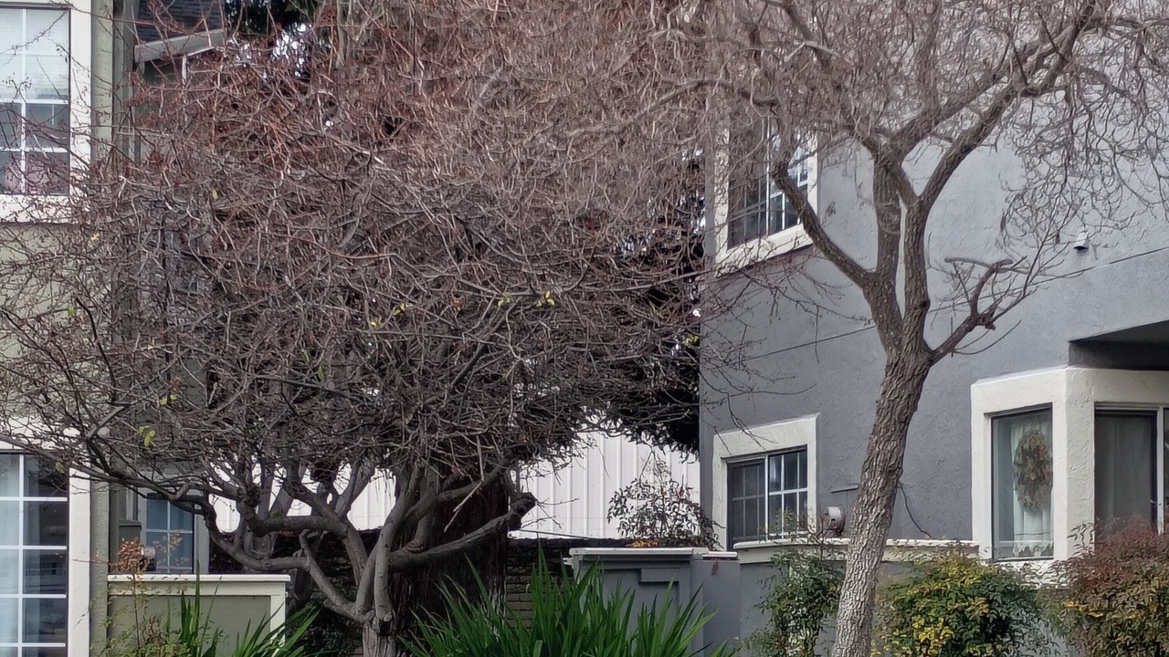 Photo of Outdoor in Santa Clara