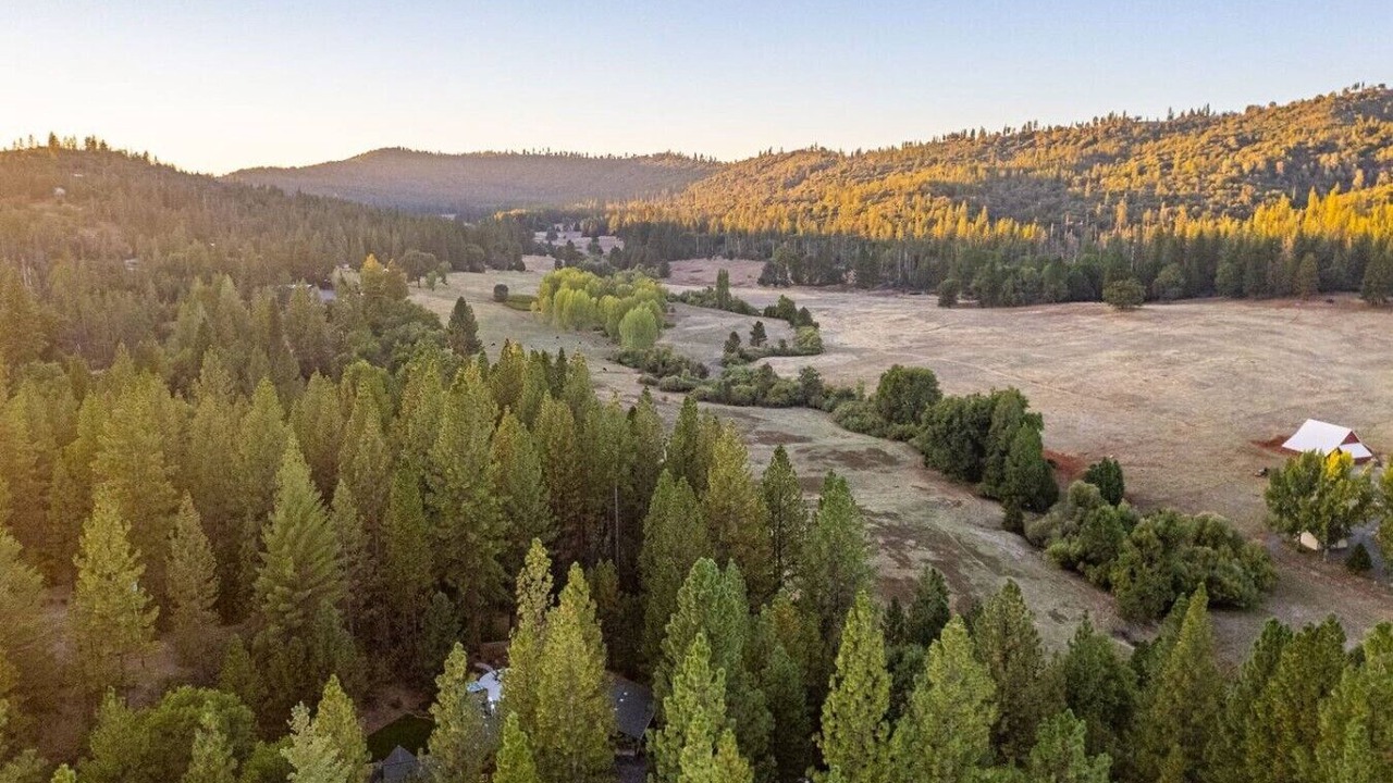 Photo of Outdoor in Groveland