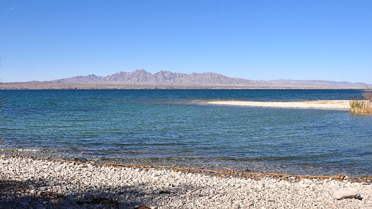 Photo of Others in Lake Havasu City