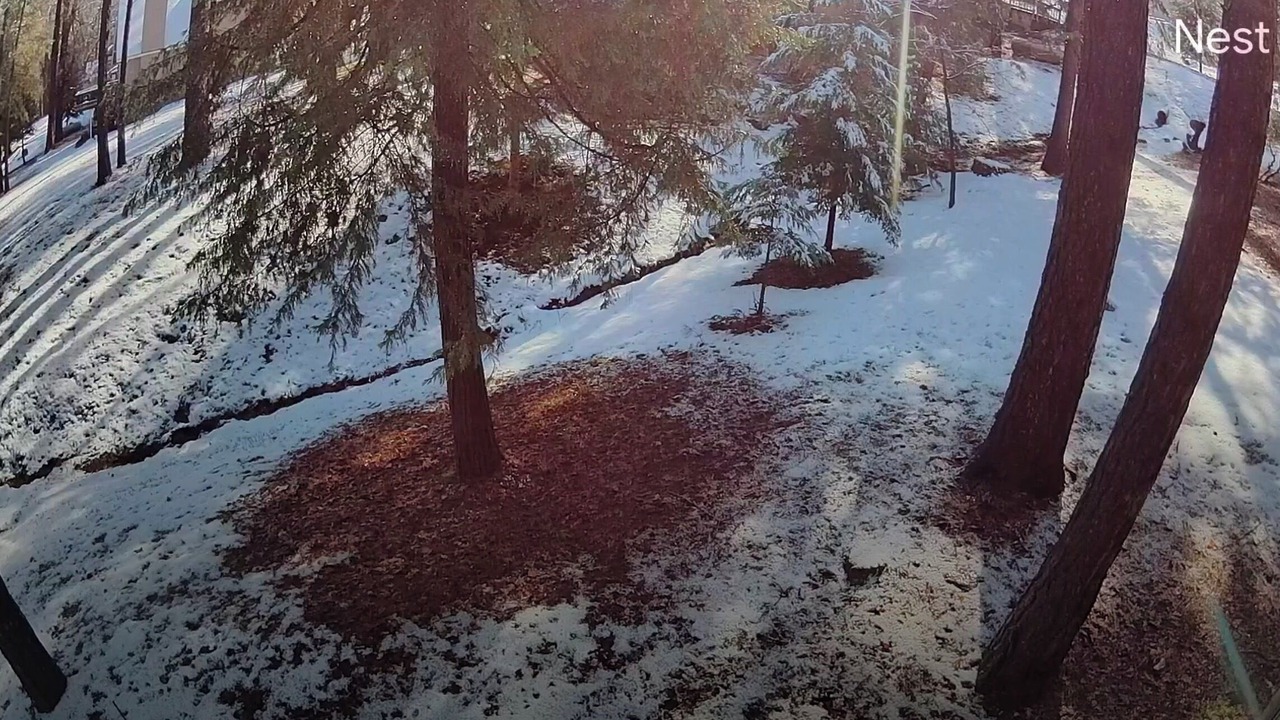 Photo of Outdoor in Groveland