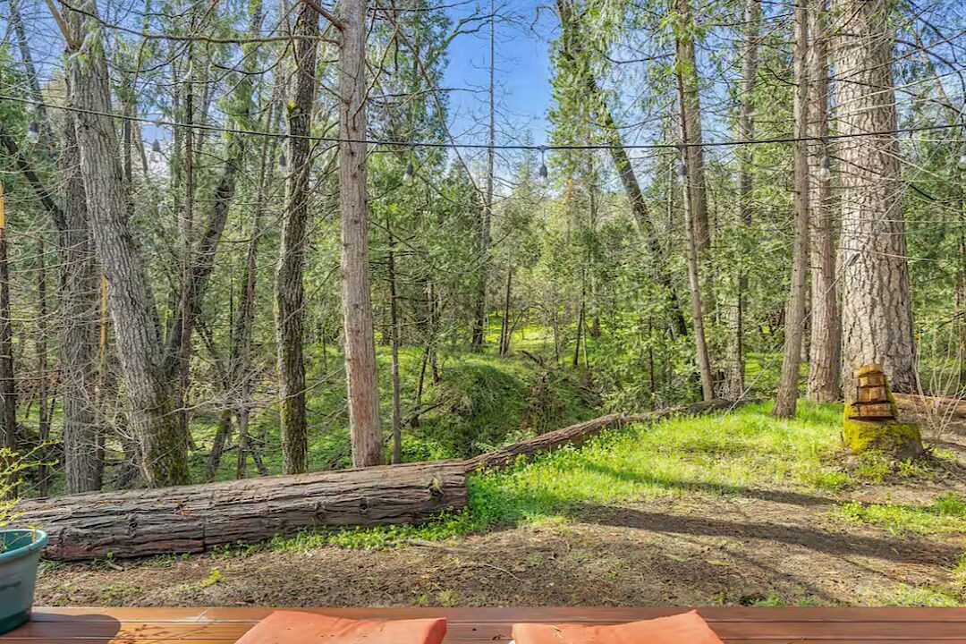 Photo of Outdoor in Oakhurst