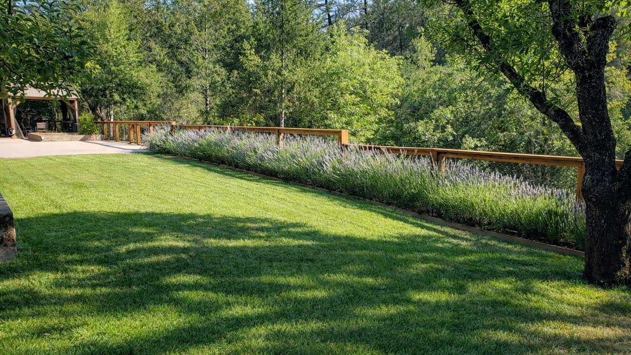 Photo of Outdoor in Santa Rosa