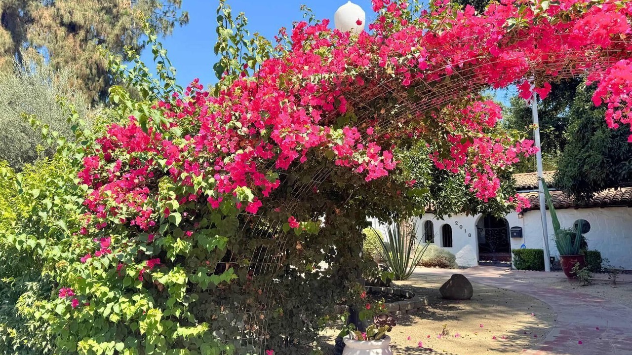 Photo of Outdoor in Visalia