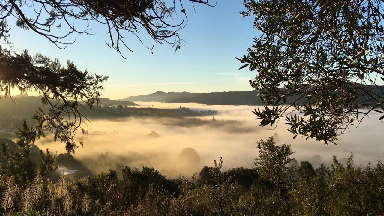 Photo of Others in Lost Valley
