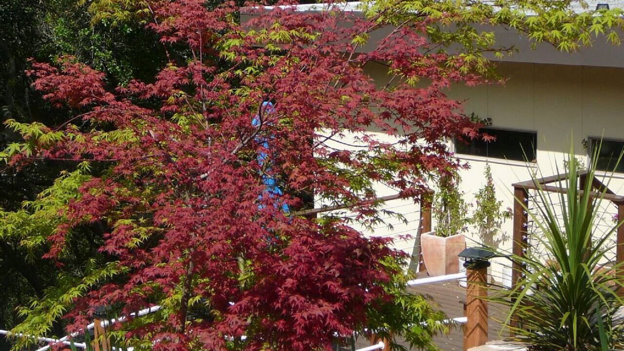 Photo of Outdoor in Lost Valley