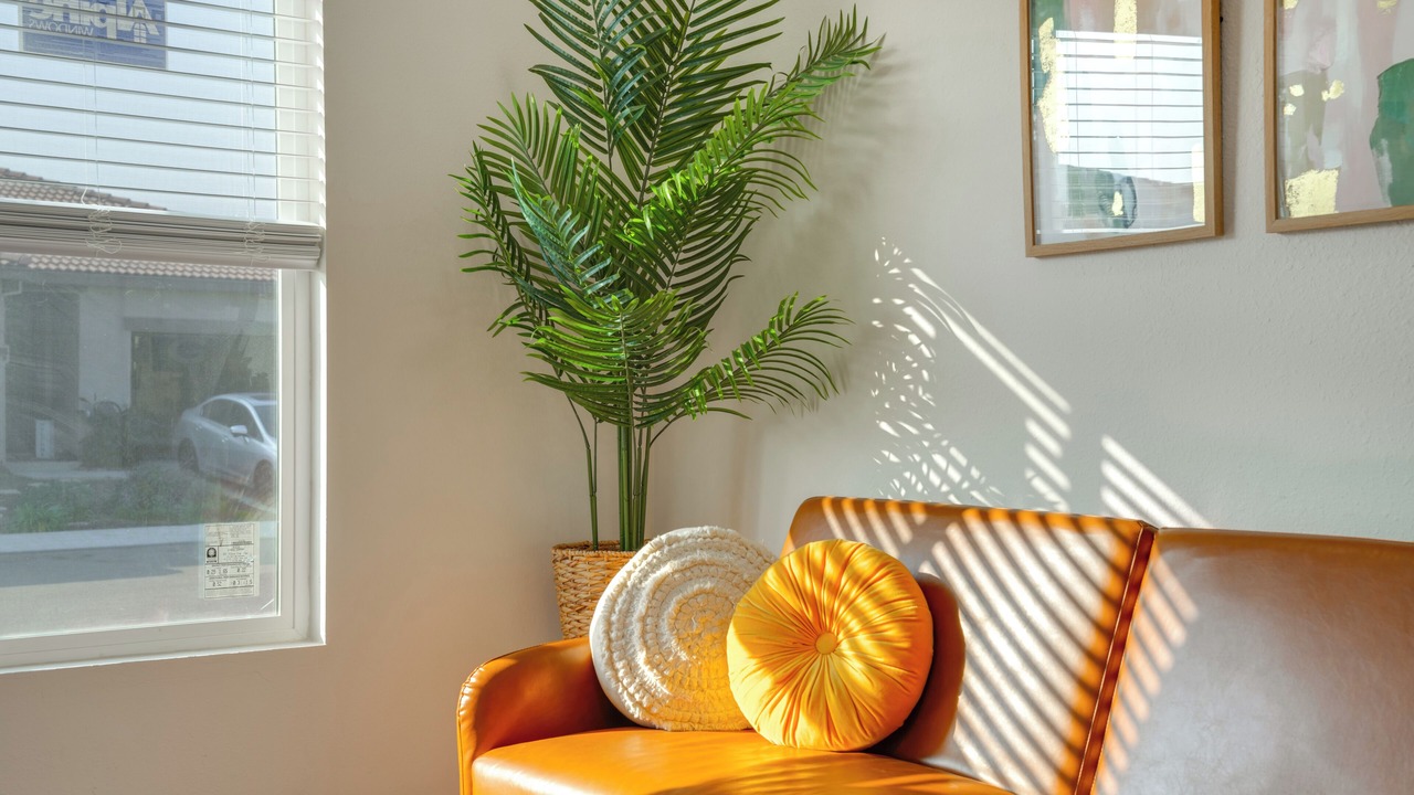 Photo of Livingroom in Manteca
