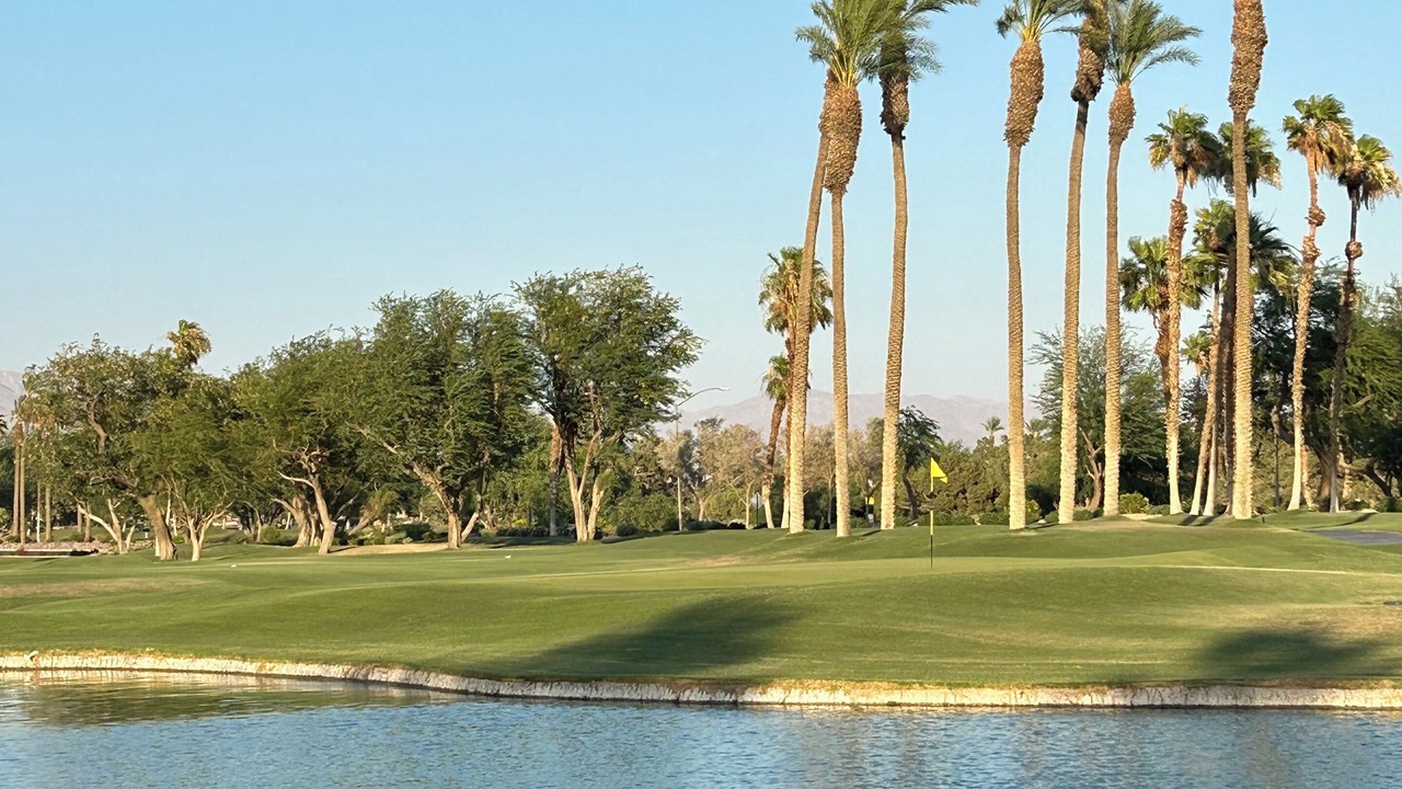 Photo of Others in Desert Palms