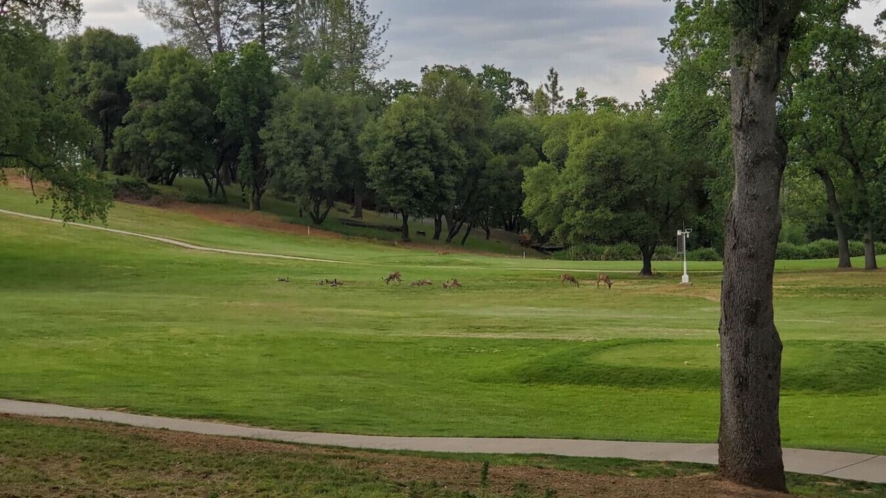 Photo of Others in Groveland