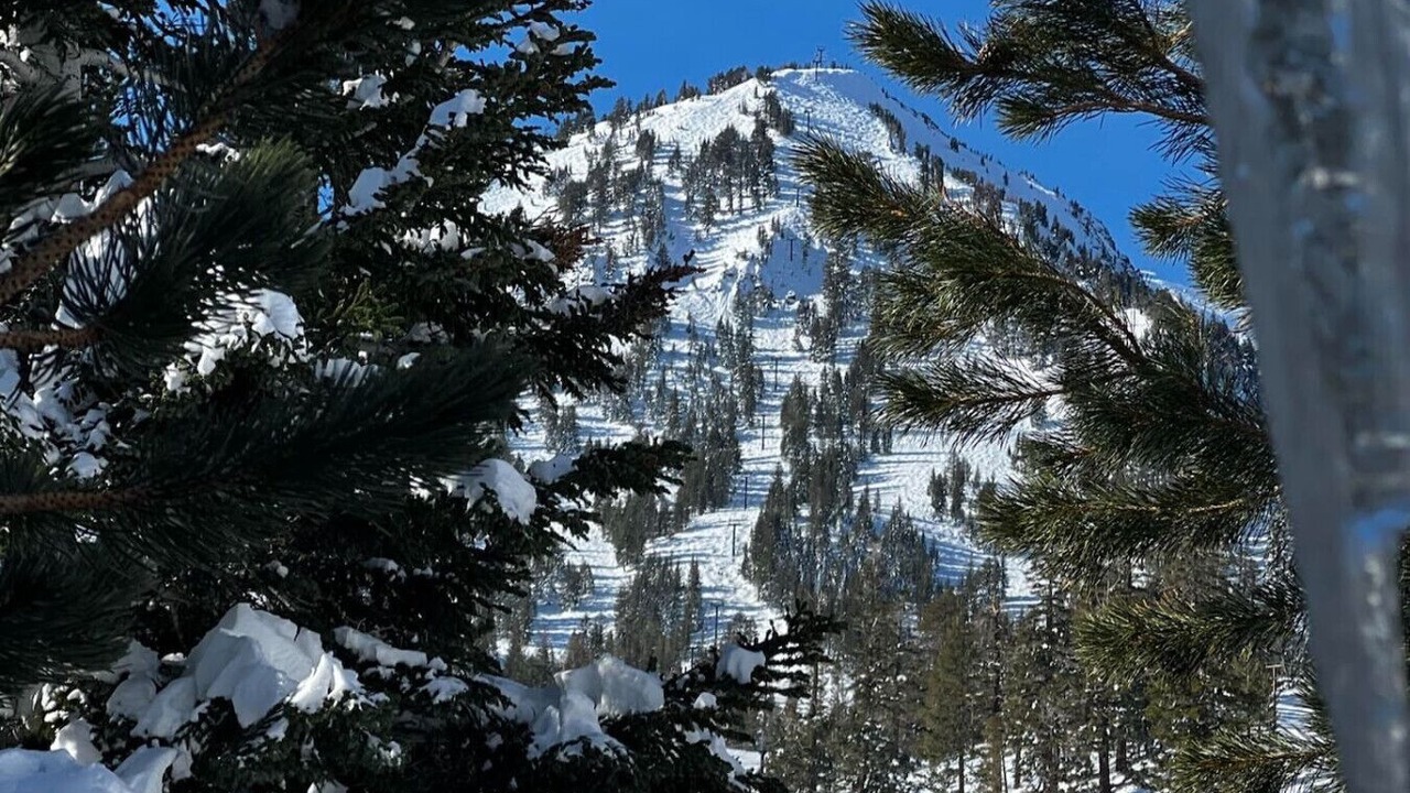 Photo of Others in Mammoth Lakes