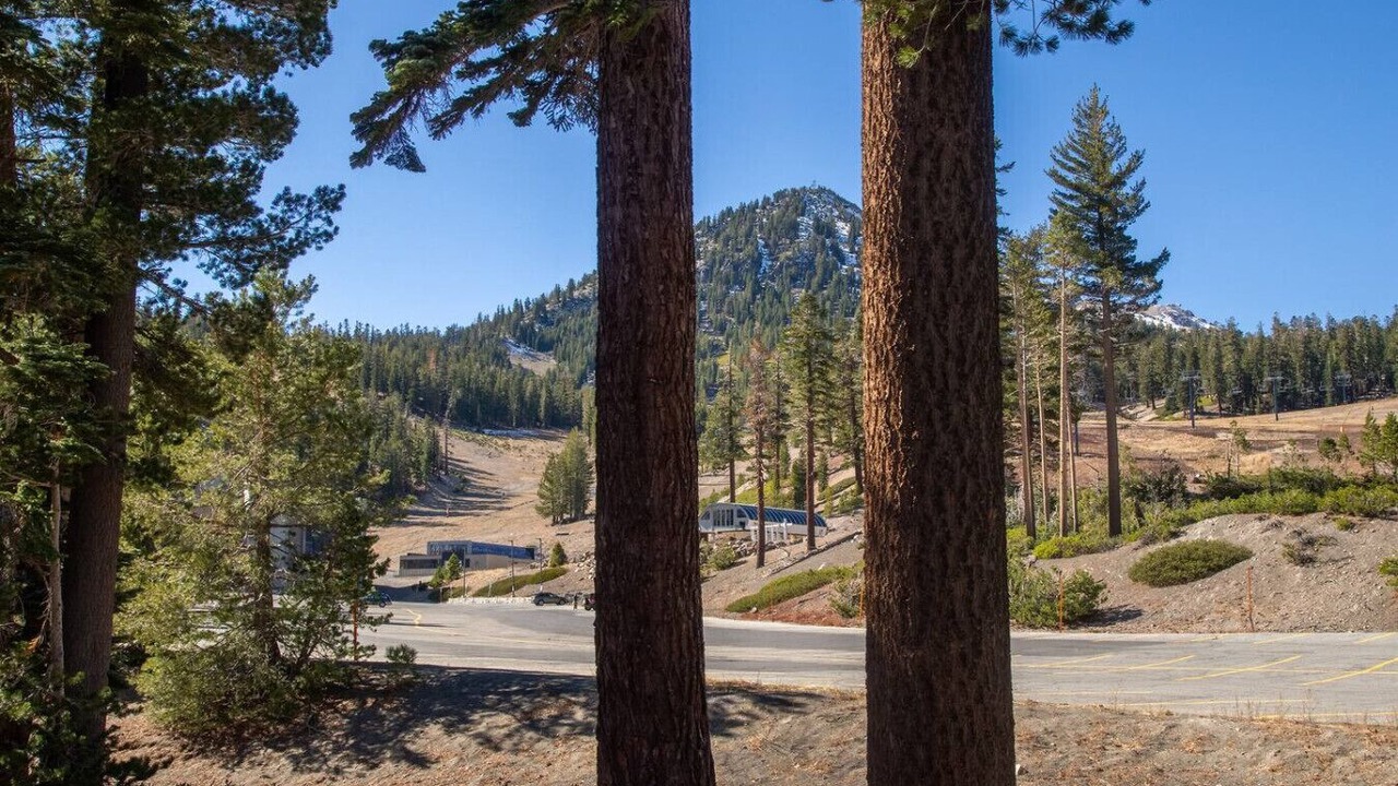 Photo of Others in Mammoth Lakes