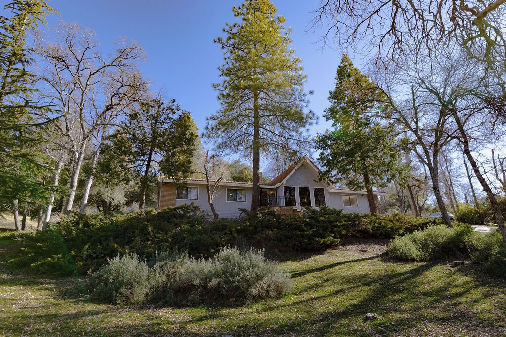 Photo of Outdoor in Yosemite Forks
