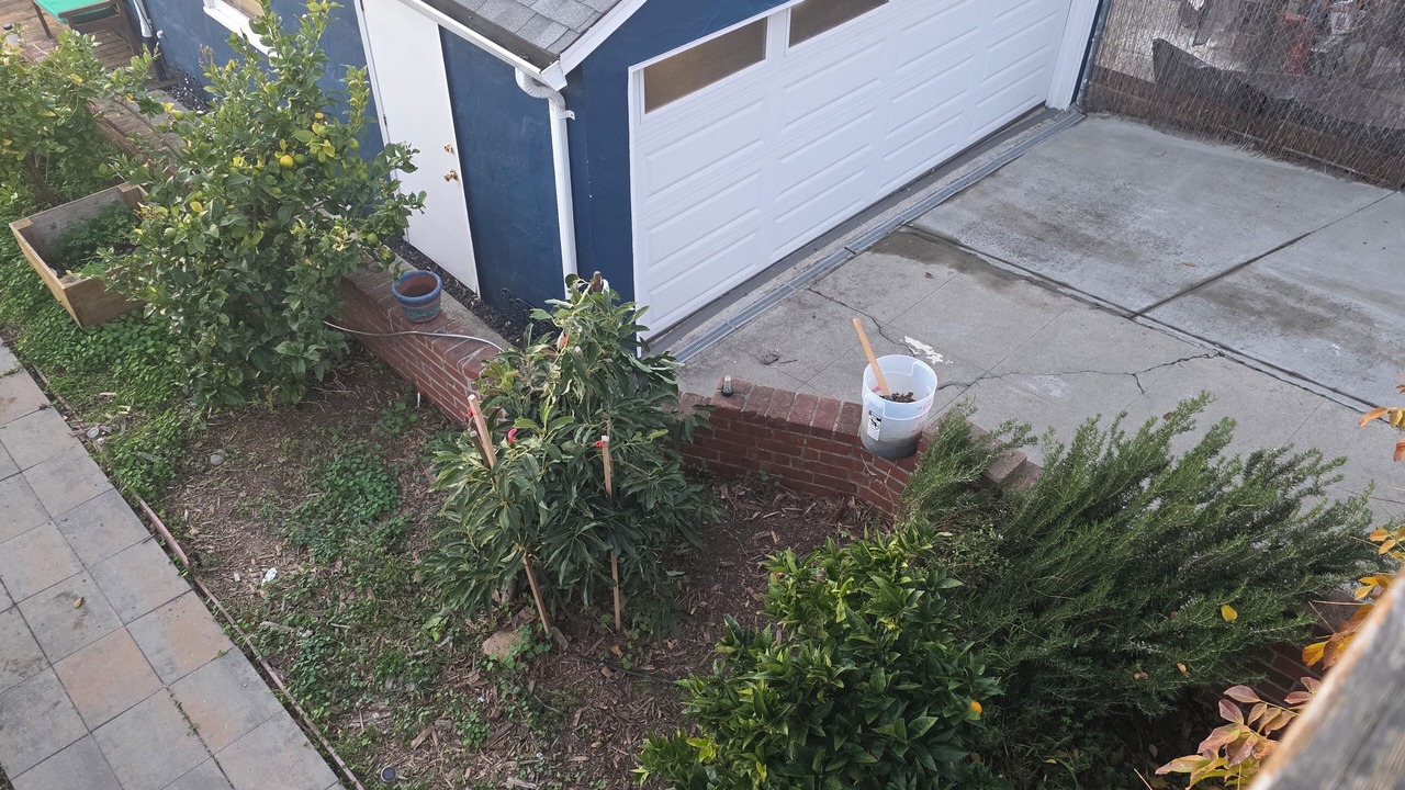Photo of Outdoor in Oakland