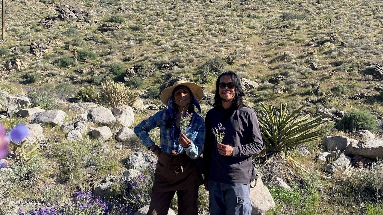 Photo of Others in Tecopa