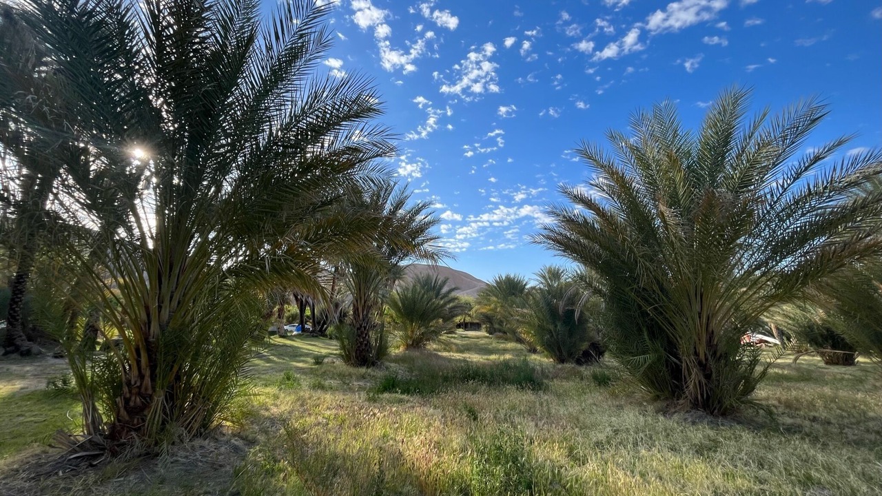 Photo of Outdoor in Tecopa