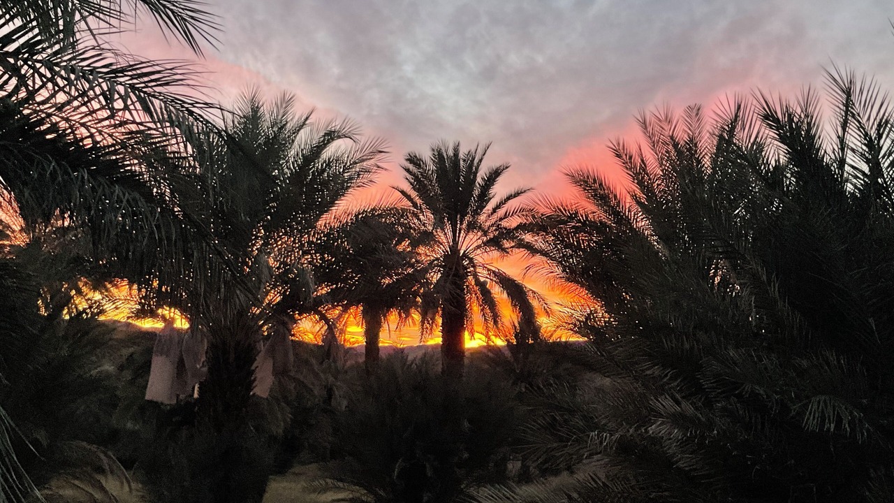 Photo of Others in Tecopa