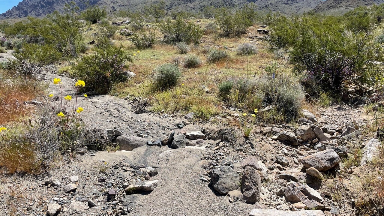 Photo of Others in Tecopa