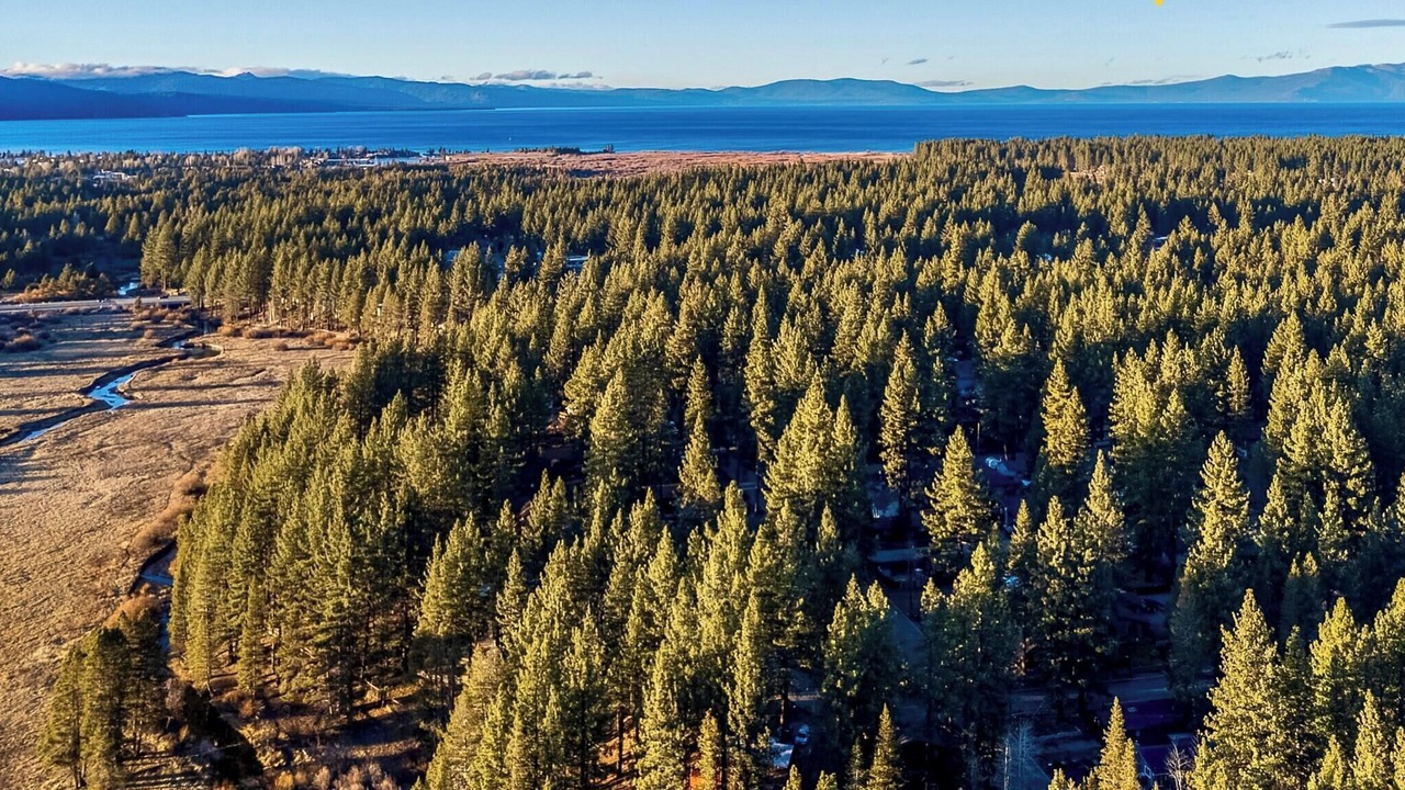 Photo of Others in Sierra Tract