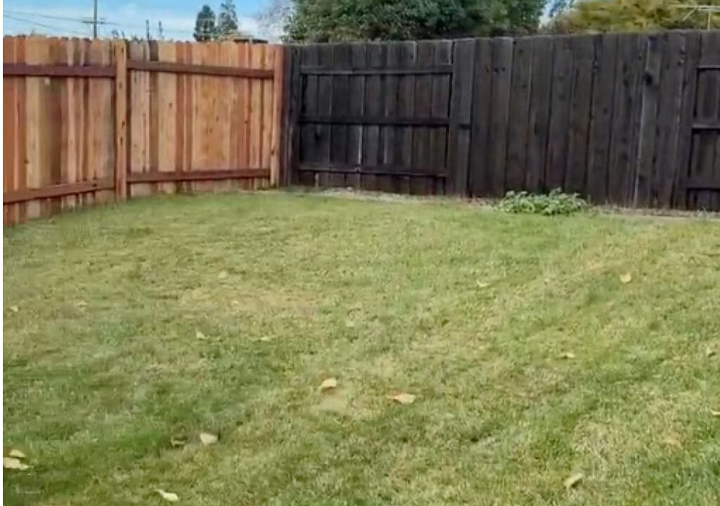 Photo of Outdoor in Orangevale
