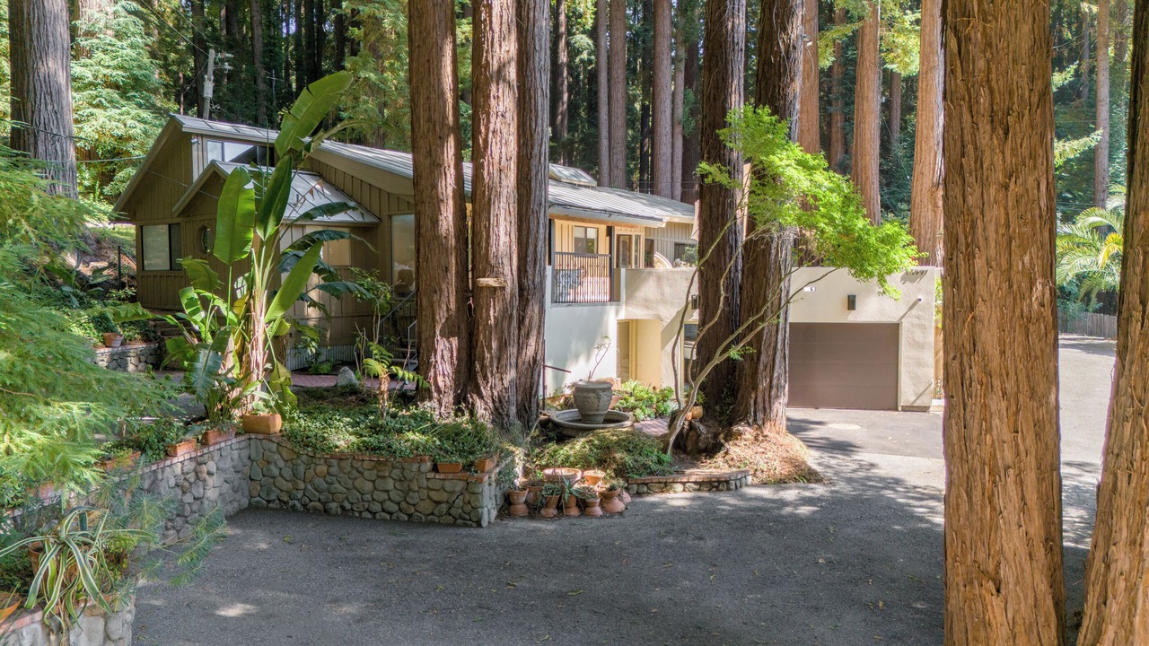 Photo of Outdoor in Los Gatos