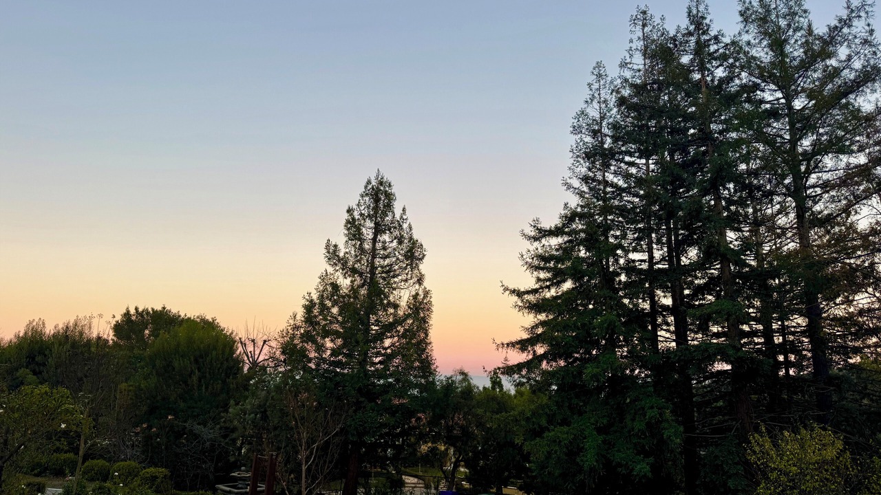 Photo of Others in Los Altos Hills