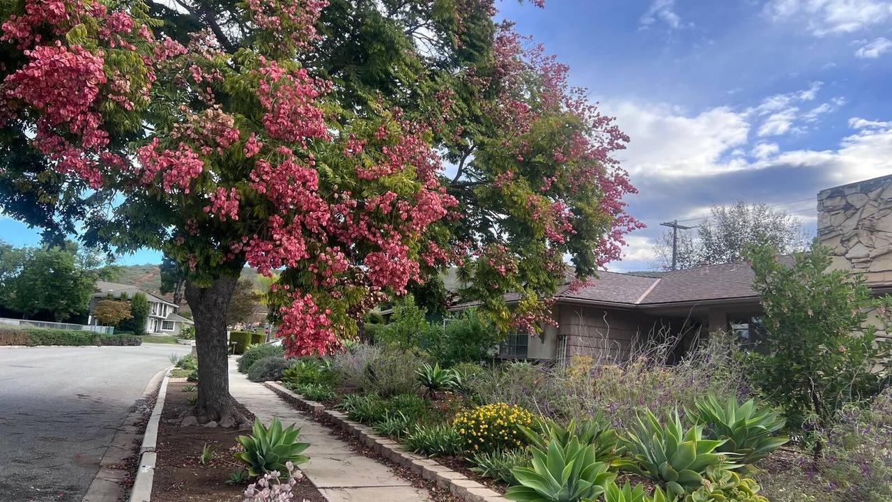 Photo of Outdoor in Thousand Oaks