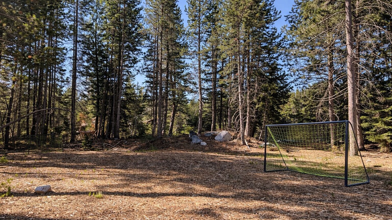 Photo of Others in Tahoe National Forest