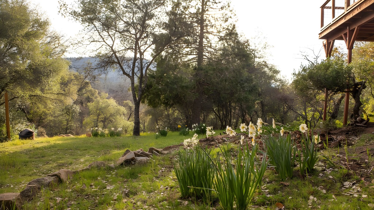 Photo of Outdoor in Midpines