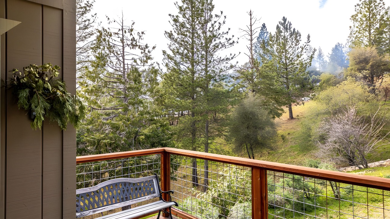 Photo of Outdoor in Midpines