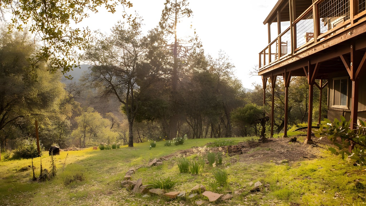 Photo of Outdoor in Midpines