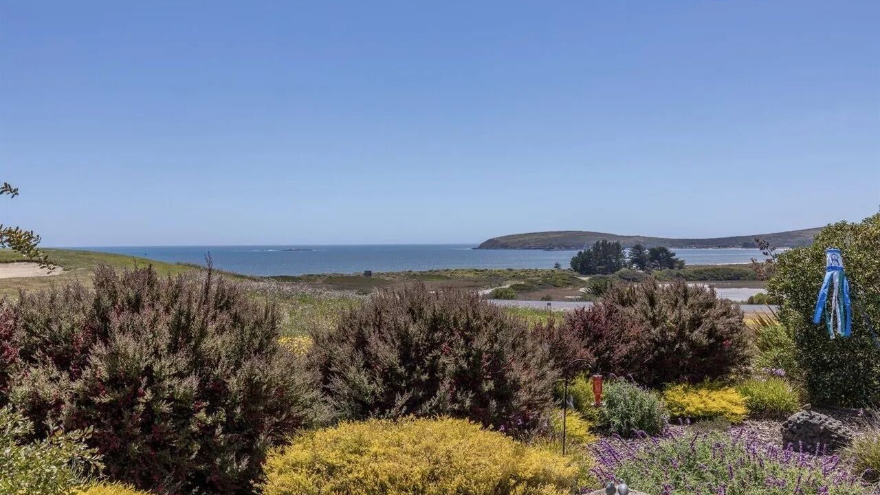 Photo of Others in Bodega Bay