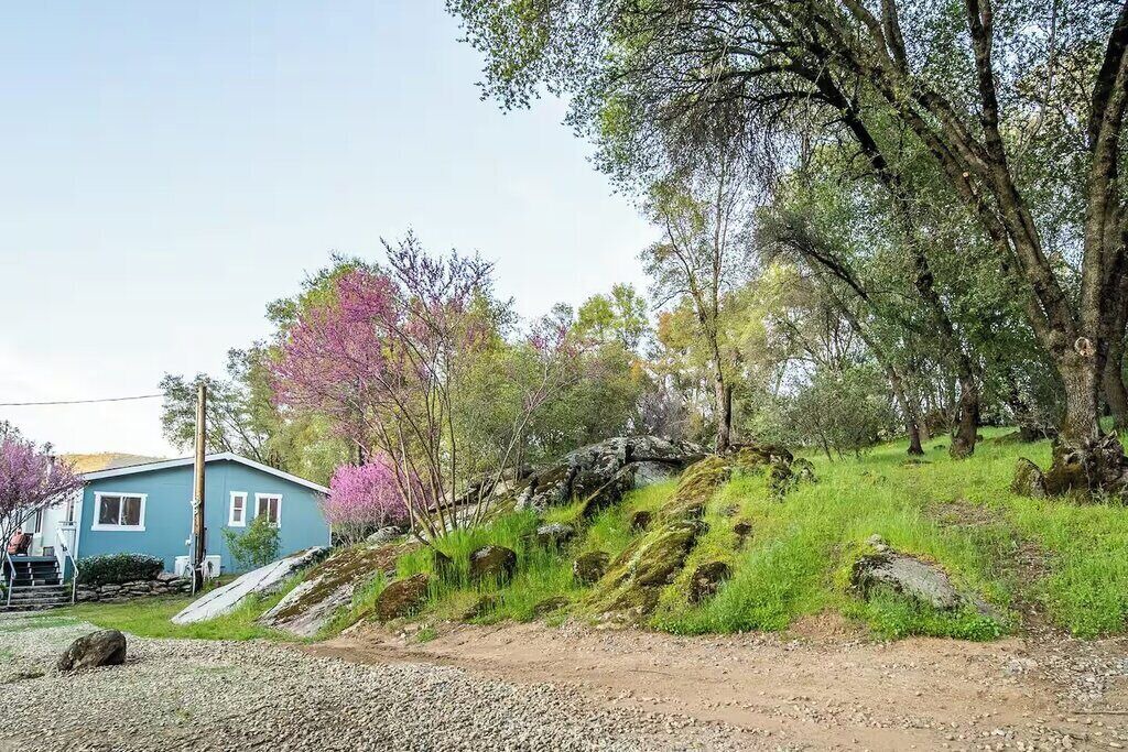 Photo of Others in Mariposa