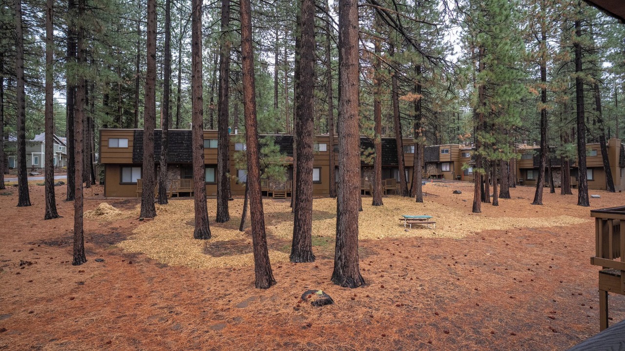 Photo of Others in South Lake Tahoe