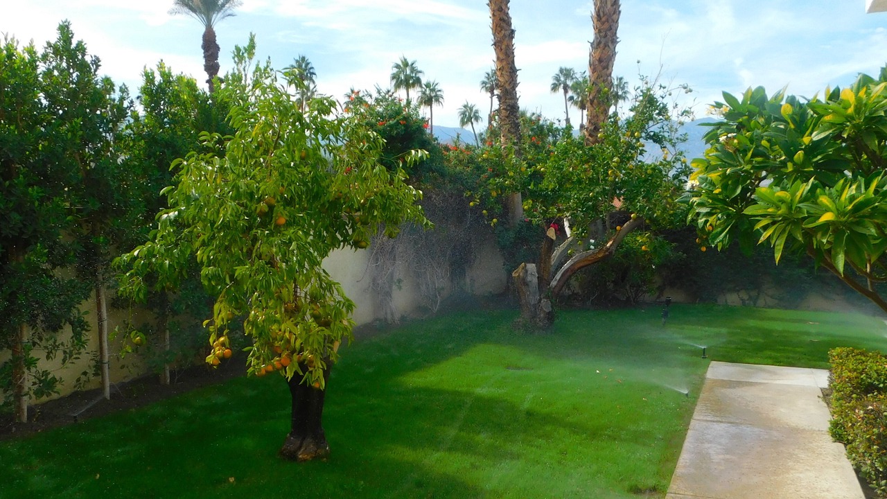 Photo of Outdoor in Cathedral City