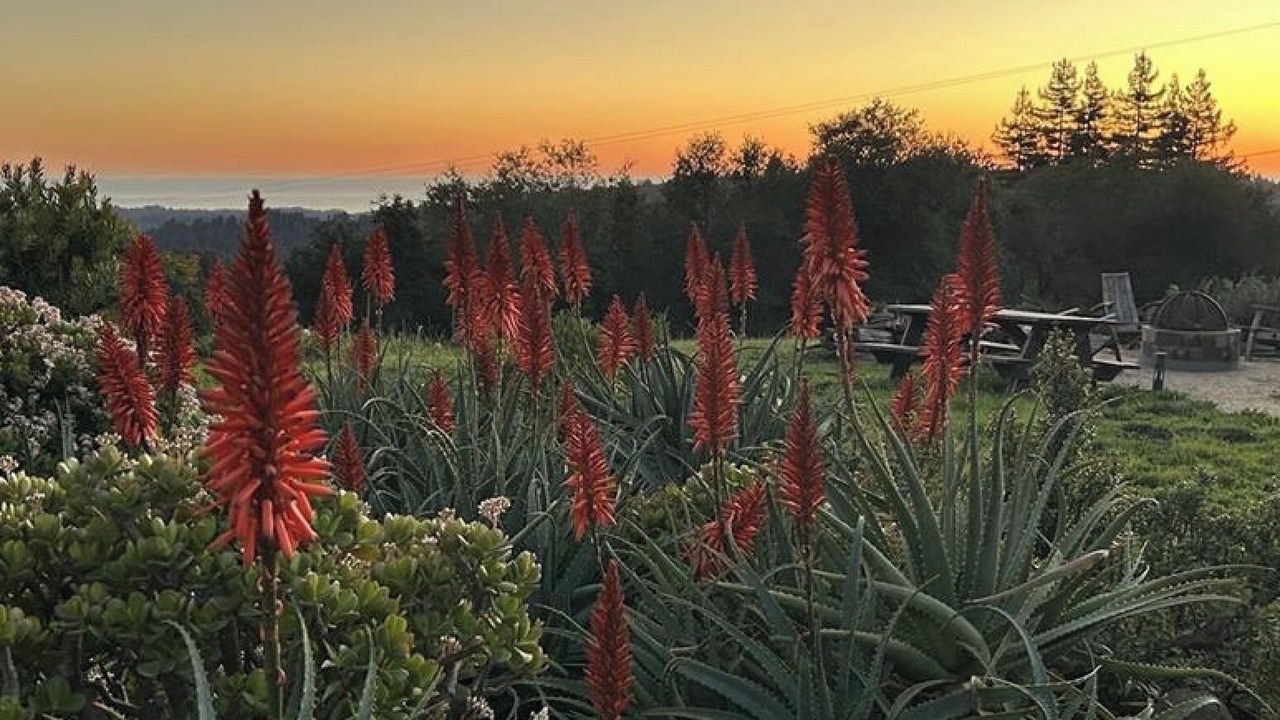 Photo of Outdoor in La Selva Beach