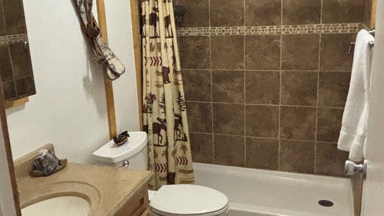 Photo of Bathroom in Mono County