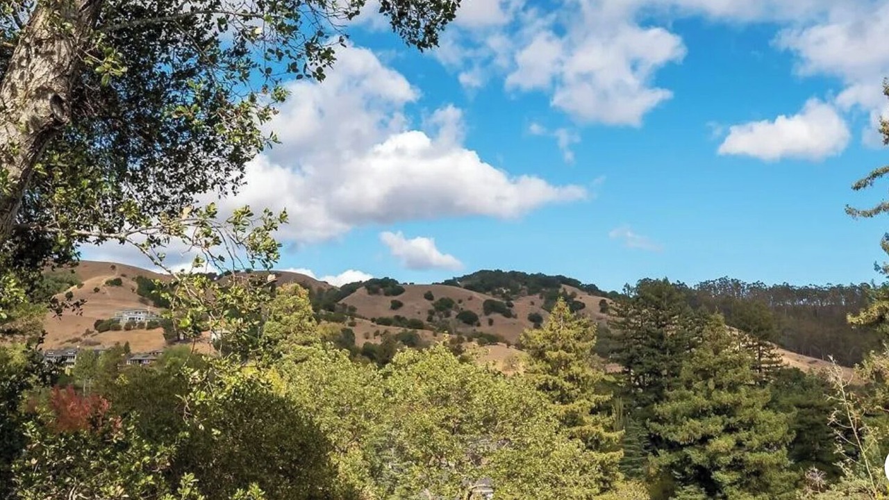 Photo of Others in San Anselmo