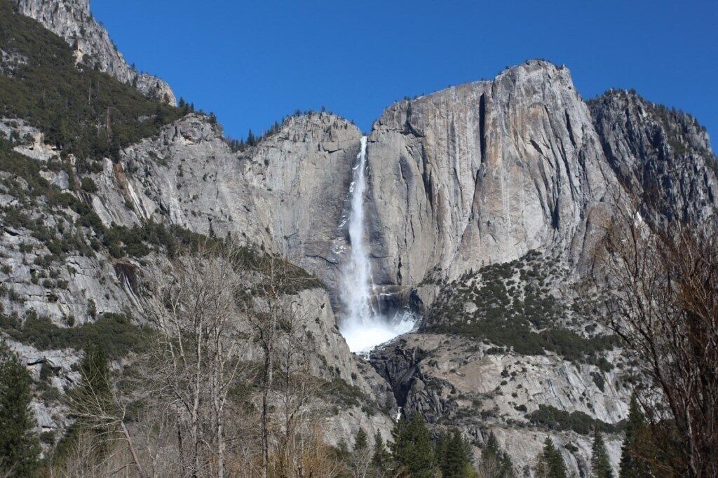 Photo of Others in Bass Lake