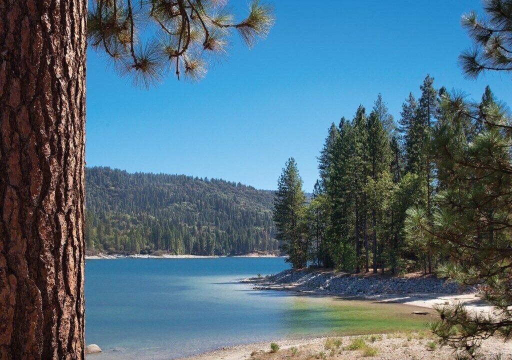 Photo of Others in Bass Lake