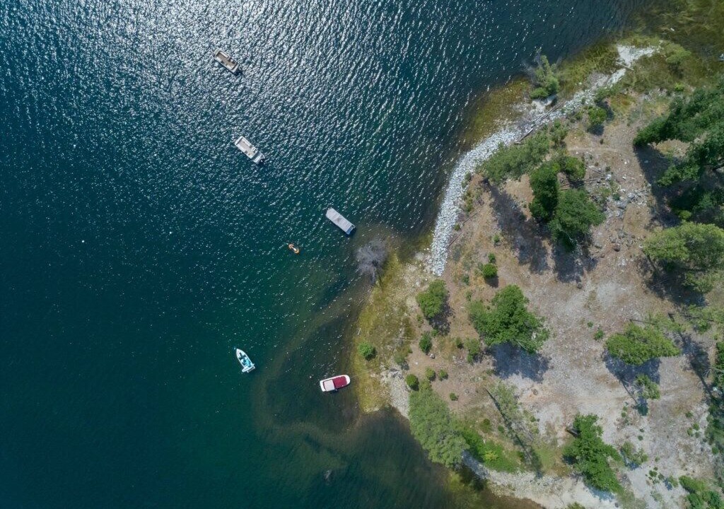 Photo of Others in Bass Lake