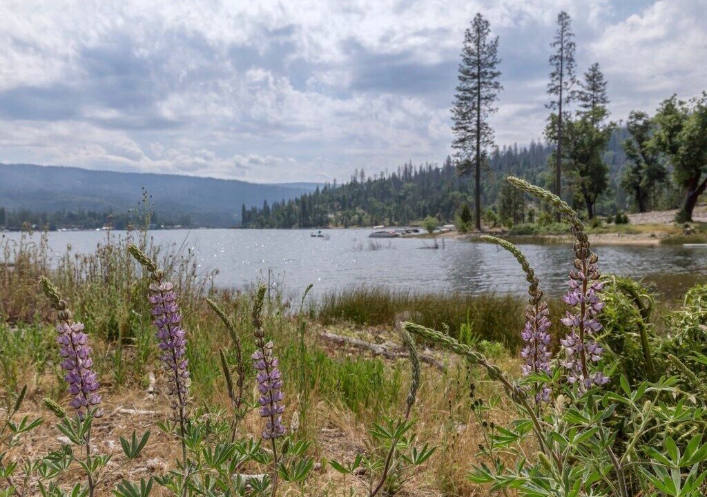 Photo of Others in Bass Lake