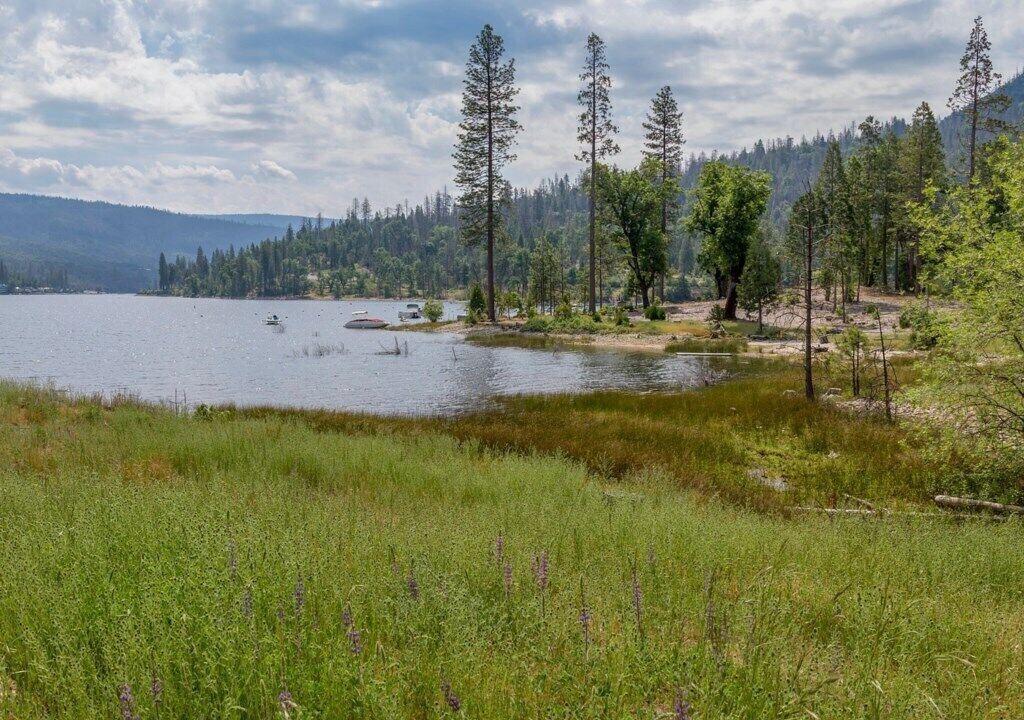 Photo of Others in Bass Lake